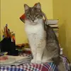 Отзыв от Фаина Безрукова